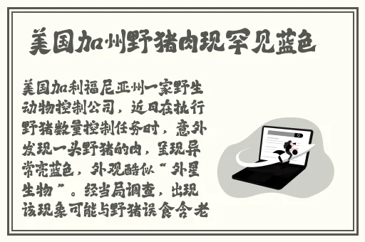 芭乐视视频在线观看安装下载